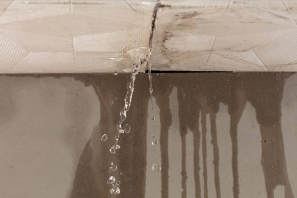 Professional Water Extraction technician working in Farwell, TX